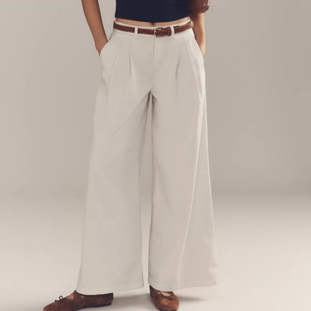 Anthropologie Low-Rise Pleated Wide-Leg Trousers - NWT | sz 2